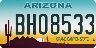 AZ license plate BHO8533