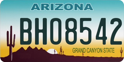 AZ license plate BHO8542