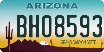 AZ license plate BHO8593