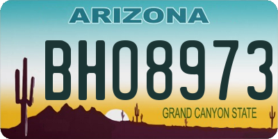 AZ license plate BHO8973