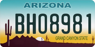 AZ license plate BHO8981