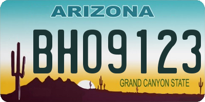 AZ license plate BHO9123