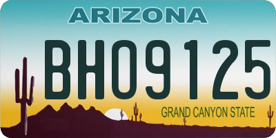 AZ license plate BHO9125