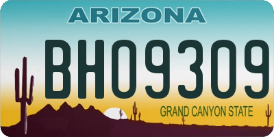 AZ license plate BHO9309