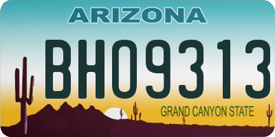 AZ license plate BHO9313