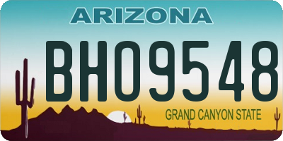 AZ license plate BHO9548