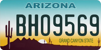 AZ license plate BHO9569