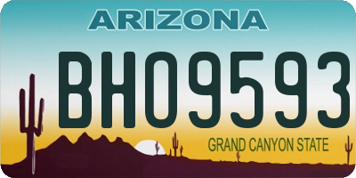 AZ license plate BHO9593