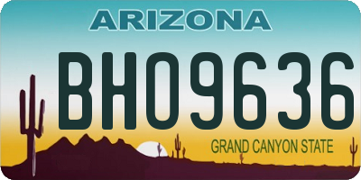 AZ license plate BHO9636