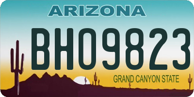 AZ license plate BHO9823
