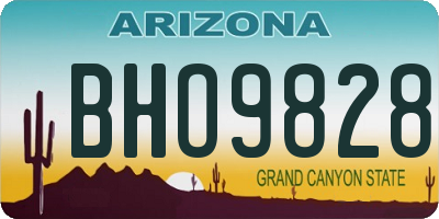 AZ license plate BHO9828