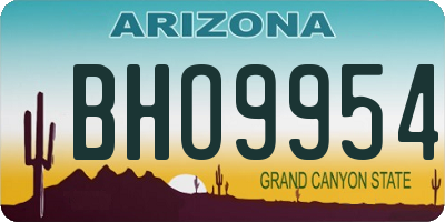 AZ license plate BHO9954
