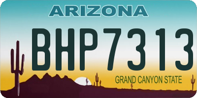 AZ license plate BHP7313