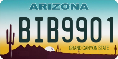 AZ license plate BIB9901