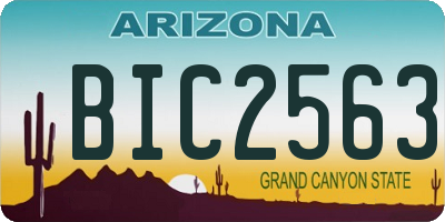 AZ license plate BIC2563