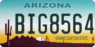 AZ license plate BIG8564