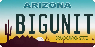 AZ license plate BIGUNIT