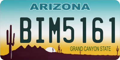 AZ license plate BIM5161