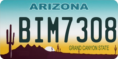 AZ license plate BIM7308