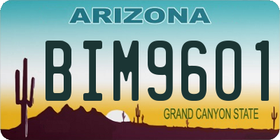 AZ license plate BIM9601