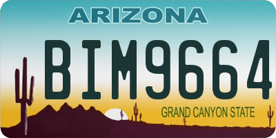 AZ license plate BIM9664