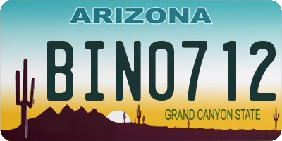 AZ license plate BIN0712
