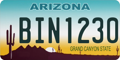 AZ license plate BIN1230