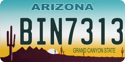 AZ license plate BIN7313