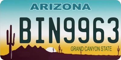 AZ license plate BIN9963