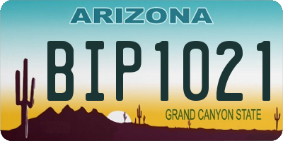 AZ license plate BIP1021
