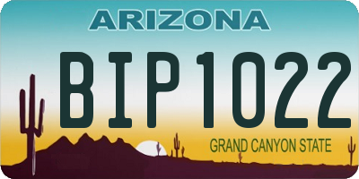 AZ license plate BIP1022