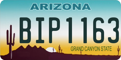 AZ license plate BIP1163