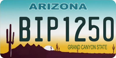 AZ license plate BIP1250