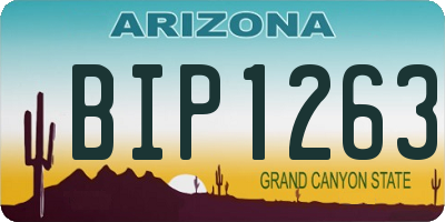 AZ license plate BIP1263