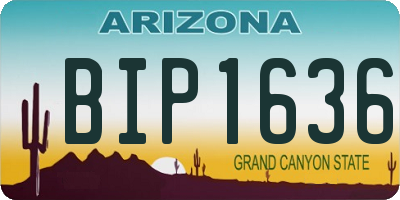 AZ license plate BIP1636
