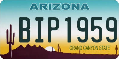 AZ license plate BIP1959