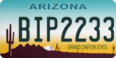 AZ license plate BIP2233