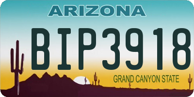 AZ license plate BIP3918