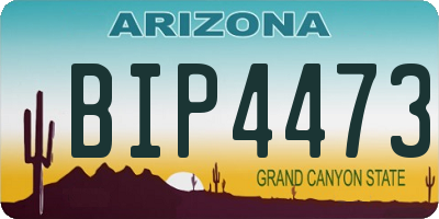 AZ license plate BIP4473