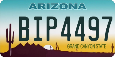 AZ license plate BIP4497