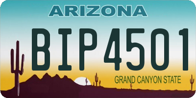 AZ license plate BIP4501