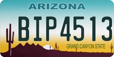 AZ license plate BIP4513