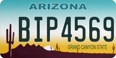 AZ license plate BIP4569