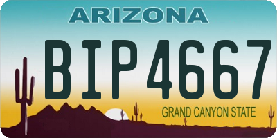 AZ license plate BIP4667