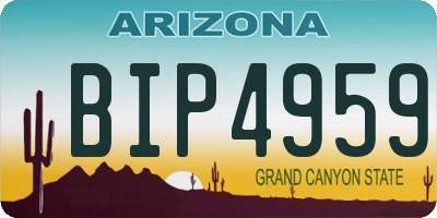 AZ license plate BIP4959