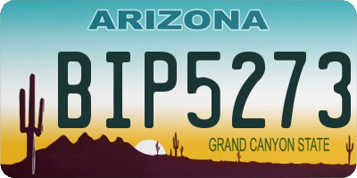 AZ license plate BIP5273