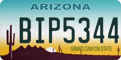 AZ license plate BIP5344