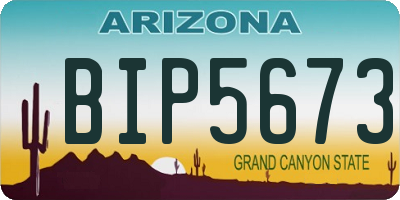 AZ license plate BIP5673