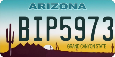 AZ license plate BIP5973