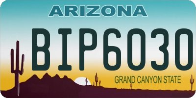 AZ license plate BIP6030